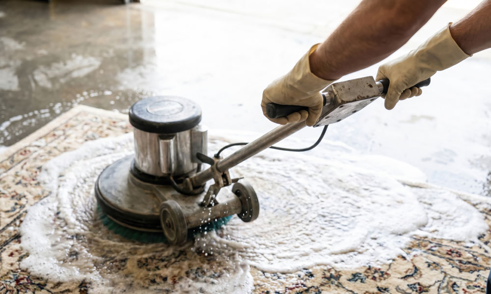 Renove Service, nettoyage de tapis dans le Vaucluse